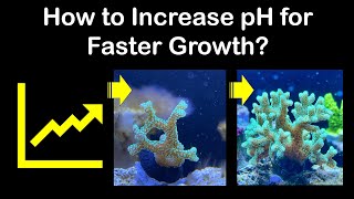 You want higher pH for faster coral growth? This is what worked for me.