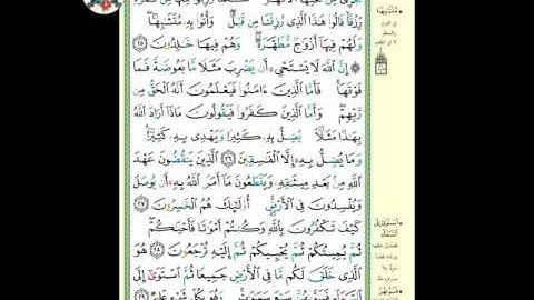 سورة البقرة ( الوجه ٥) ، من الآية ٢٥- ٢٩ ، الشيخ إبراهيم الأخضر ( تجويد )
