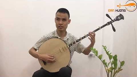 Đàn nguyệt DN229 -  Nhạc cụ Đàn Hương