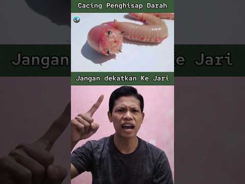 Pria Ini Mendekatkan