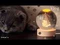 Уютная рутина праздничных выходных дней | тихий влог