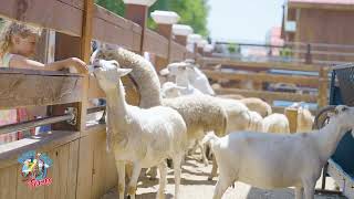 The Animal Farm at White Post Farms