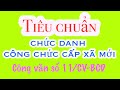 Công văn số 11/CV-BCĐ: Tiêu chuẩn chức danh công chức cấp xã mới (ngày 04 tháng 6 năm 2025)