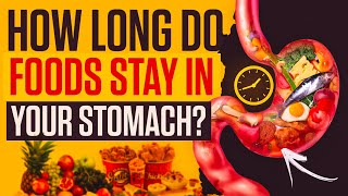How Long Do Foods Stay In Your Stomach?