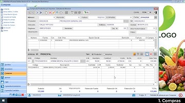 VEGATech POSNet Online 6 - Video Tutorial Parte 3 - Compras