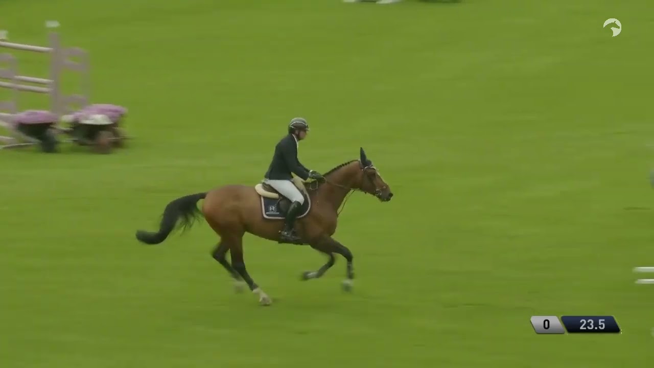 H'aubigny de Talma CSIO Saint Gall  épreuve chevaux 8 ans 2025