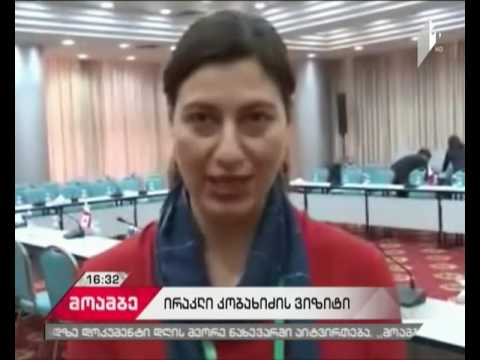 ირაკლი კობახიძე ფილიპინების სენატის თავმჯდომარეს შეხვდა