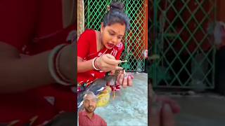 little bird feed by Pooja Mandal very interesting video #shorts #sanjayfun