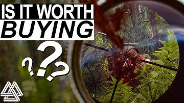 I Played Active Matter So You Don