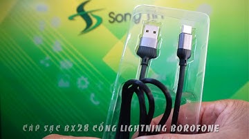 BOROFONE - Dây Cáp Sạc BX28 Cổng Lightning / Micro / Type C 1m