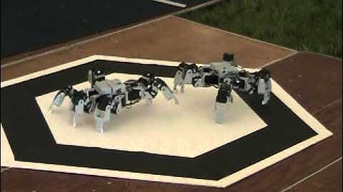 Robofest Hexapod Robot Sumo during IGVC 2011 at Oakland University