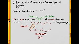 BMAT 2014 Section 2 - Q17 Bio - Lipid digestion - Worked Solution