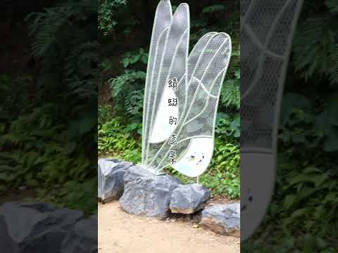 龜山大湖坑步道，大湖之森自然步道，一路可以走到樹幹站點和香楠眺景平台，最後到步道終點樹林民和街福安宮。#龜山大湖坑步道 #大湖坑步道 #大湖之森自然步道 #龜山