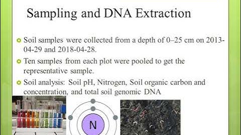Cropping Systems with Higher Organic Carbon Promote Soil Microbial Diversity