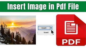 How to Insert Image in Pdf File (Insert Photo in pdf)