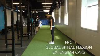 FRC Global Flexion Extension Spinal CARs