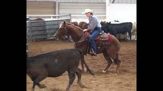 5 year old Dual Rey gelding. NCHA LTE 4,700