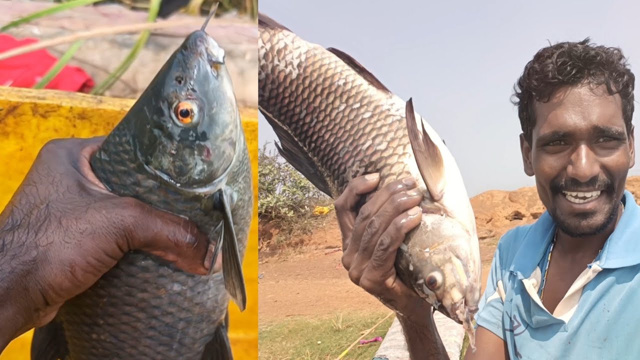 🎣ఈరోజు మా బోనుకి పెద్ద చేప పడింది..| Village Natural Fishing video | KRUPA Hanok Fishing videos..