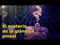 El misterio de la glándula pineal