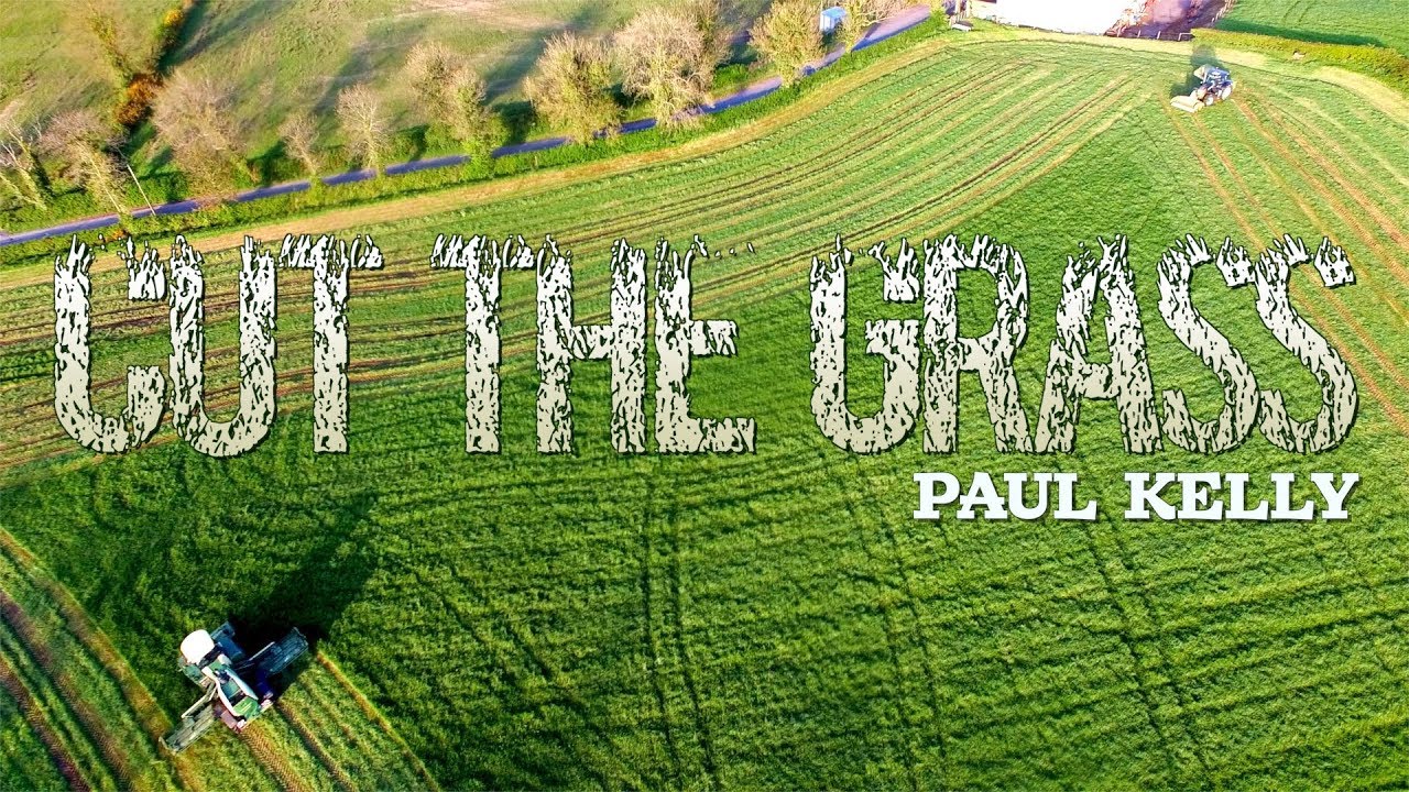 Cut The Grass   Paul Kelly