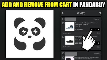 How To Add and Remove From Cart in Pandabuy (2025)