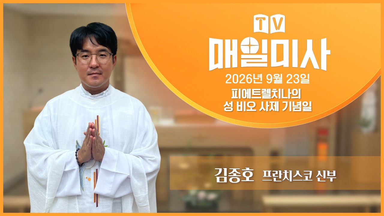 TV留ㅼ씪誘몄궗