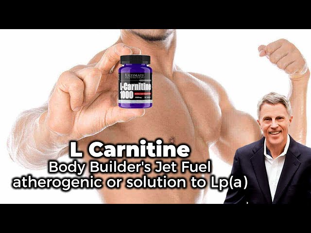 l carnitine lp a YouTube