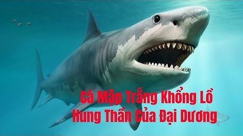 Bí mật loài cá mập trắng khổng lồ hung thần của đại.