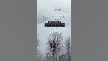 حتي إذا جاء أحدهم الموت قال رب ارجعون || صوت مبكي || القارئ محمد خالد