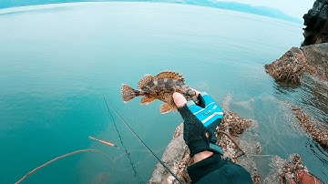 Câu ISO tại Vân Đồn, Quảng Ninh rất nhiều loại cá