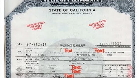 🔑 Why You Must Authenticate Your Birth Certificate!