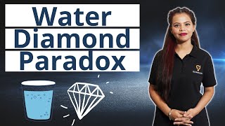 Water Diamond Paradox | Ecoholics