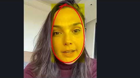 multimodal Face & voice biometric SDK