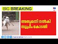 അക്രമകാരികളായ തെരുവുനായ്ക്കളെ കൊല്ലാം; മനുഷ്യജീവനാണ് പ്രധാനമെന്ന് സുപ്രീം കോടതി |SupremeCourt |Dogs