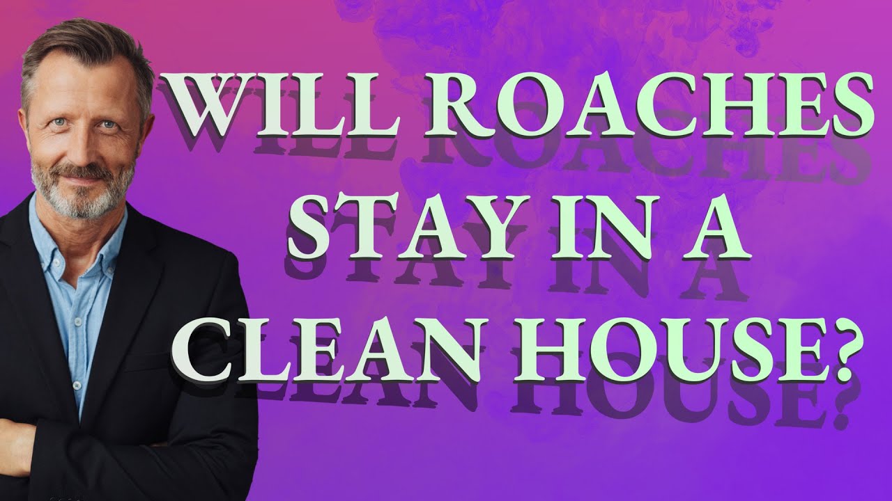 Will roaches stay in a clean house? YouTube