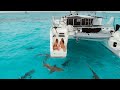 TIGER SHARKS surround our boat. WE SWIM WITH THEM! 🦈 Ep.197