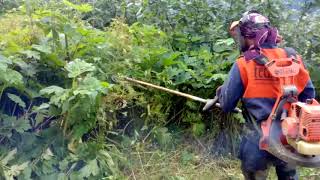 Canavar Başlık..zincirli Tırpan.