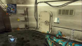 BO2 Custom Animations (PS3)