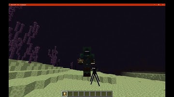 Golden Axolotl Totem 1.16.3 Resource Pack Overview