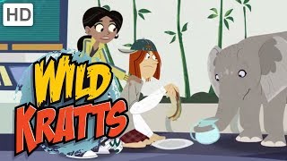 Wild Kratts  Protecting the Wildlife Around the World