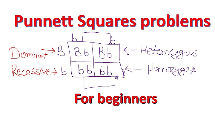 Www.biology-roots.com punnett square practice problems