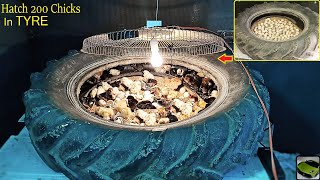 Hatched 200 CHICKS in Old Tractor TYRE - Egg hatching In Tyre | EGG INCUBATOR
