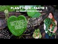 Plant tour  pisode 3  ma collection de hoyas