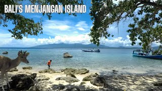 🇮🇩 Snorkelling off the coast of Menjangan Island, Bali | Indonesia by Virtual Walks and Adventures 760 views 10 months ago 5 minutes, 34 seconds