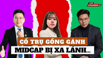 Chứng khoán hôm nay: cổ phiếu chứng khoán đã chính thức tạo đáy?