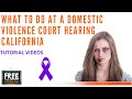 WHAT TO DO AT A DOMESTIC VIOLENCE COURT HEARING CALIFORNIA - VIDEO #71 (2020)