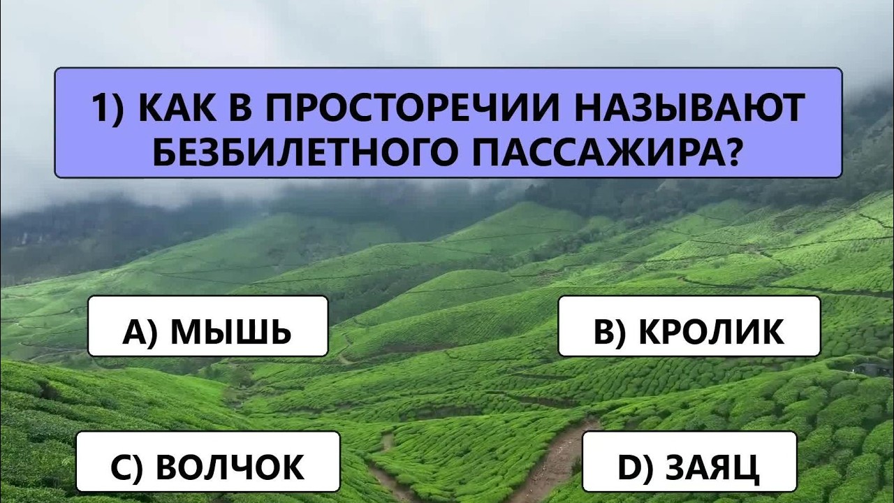 ТОЛЬКО ОДИН ЧЕЛОВЕК из СТА сможет правильно ответить хотя бы на 15 вопросов!