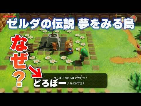 Switch版 ゼルダの伝説 夢をみる島 の道具屋でお金を払わなかったリンクの末路 Youtube