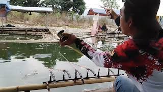 Serasa Narik Teronton