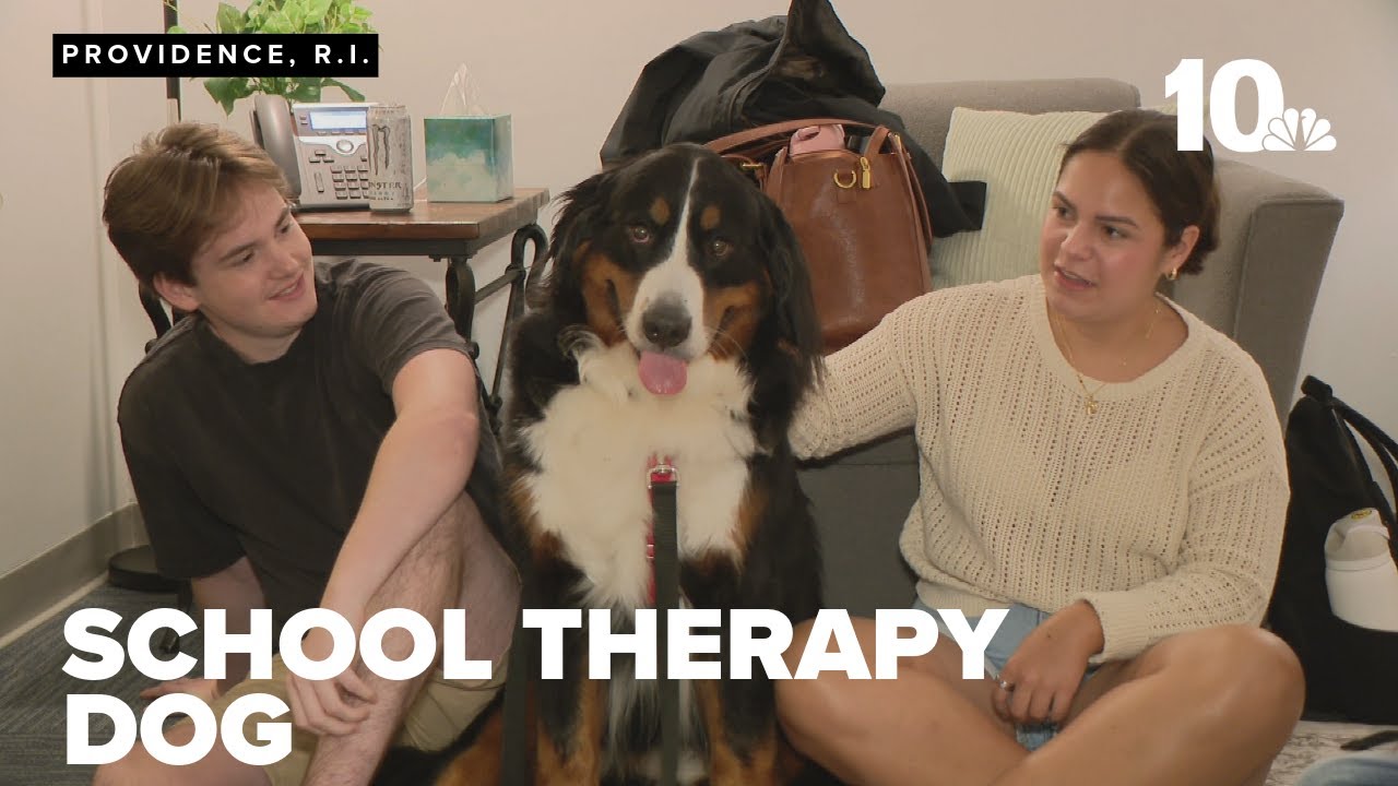 College welcomes four-legged friend to help students, staff with mental health